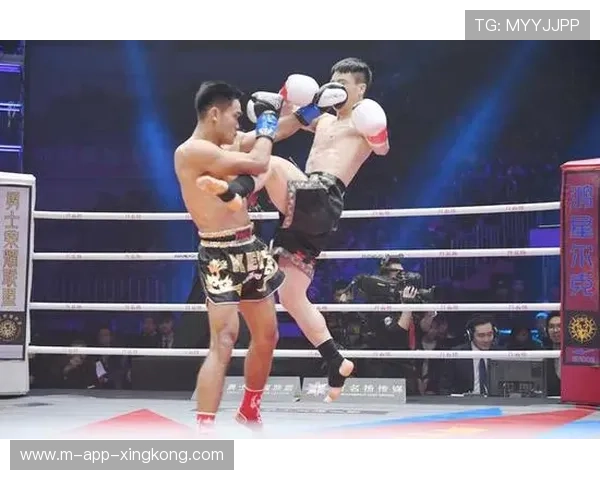 拳击擂台上爆发的瞬间决定历史归属